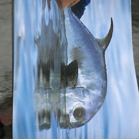 💥Host Pick SALT Costal and Flats Fishing - Picture 10 of 12